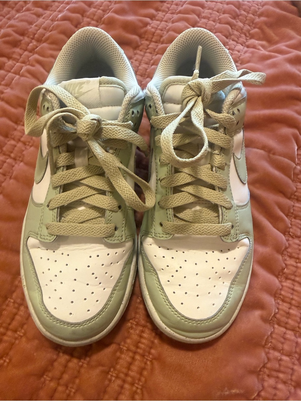Nike Low-Top Sneakers in White and Sage